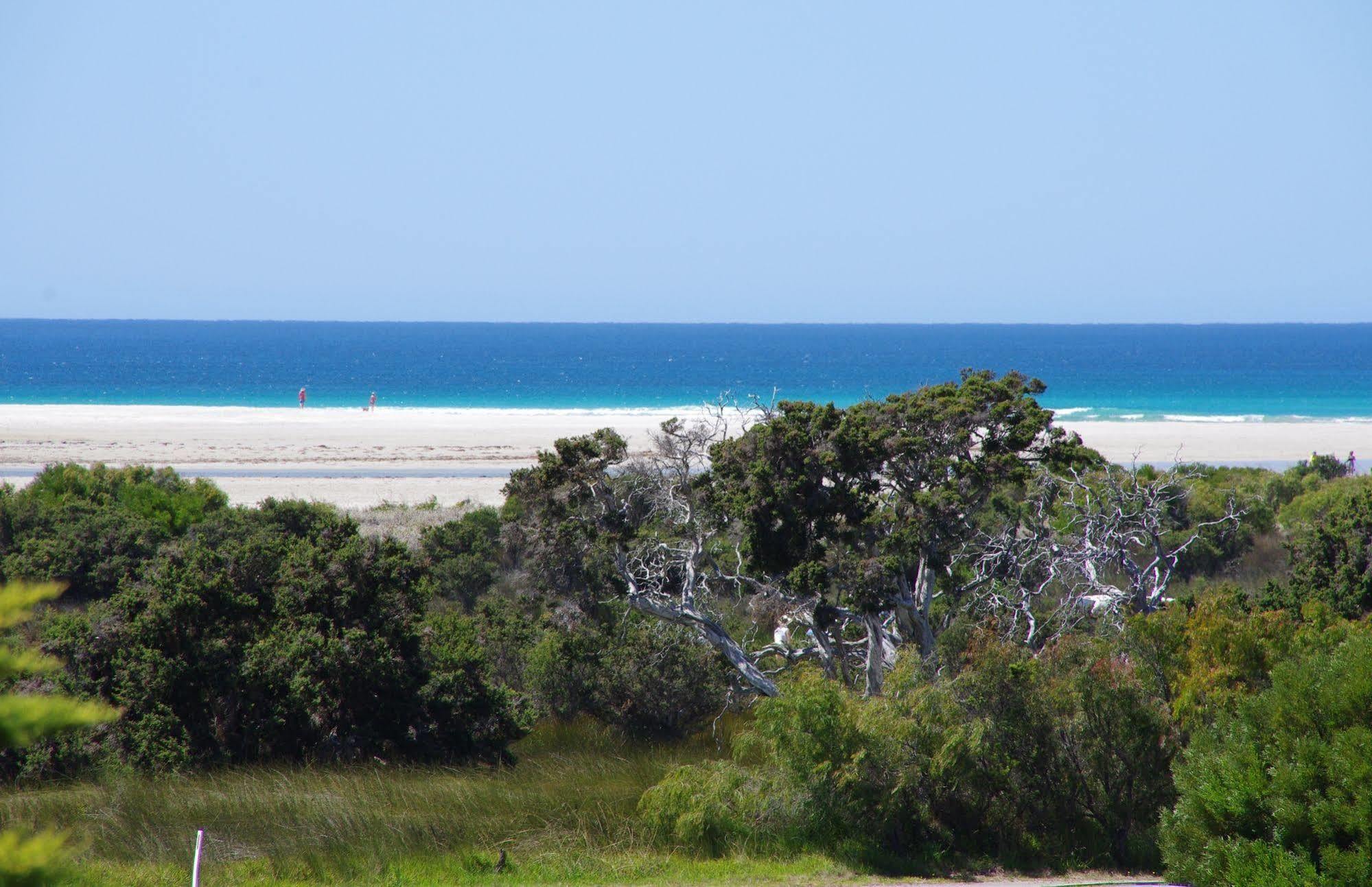 Surfside Ocean Beach Denmark Holiday Accommodation Bagian luar foto